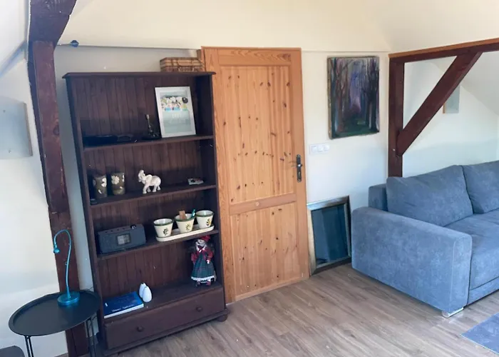 Dzika Foka Wioslowa 49 Gdańsk