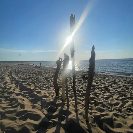 Dzika Foka Wioslowa 49 * Gdańsk