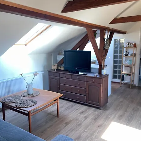 Dzika Foka Wioslowa 49 * Gdansk