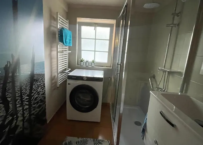 Dzika Foka Wioslowa 49