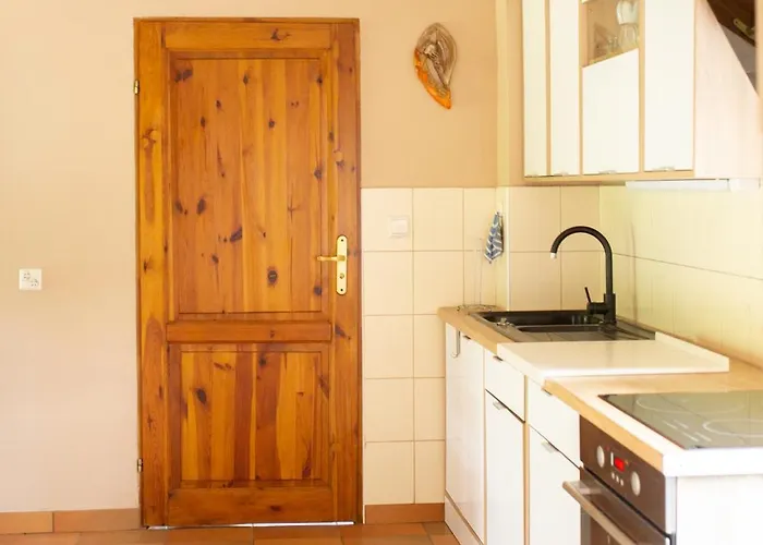 Dzika Foka Wioslowa 49 Gdansk