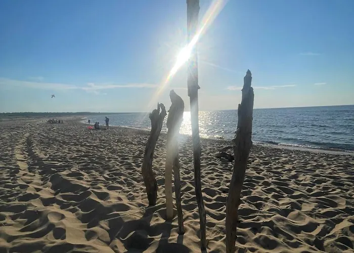 Dzika Foka Wioslowa 49 * Gdańsk