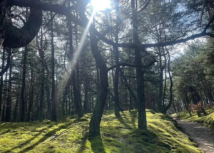 Apartment Dzika Foka Wioslowa 49 Gdansk