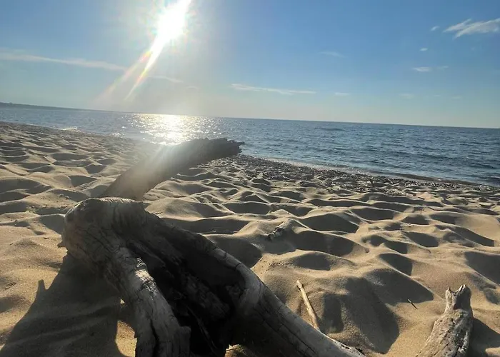 Dzika Foka Wioslowa 49 Lejlighed Gdańsk