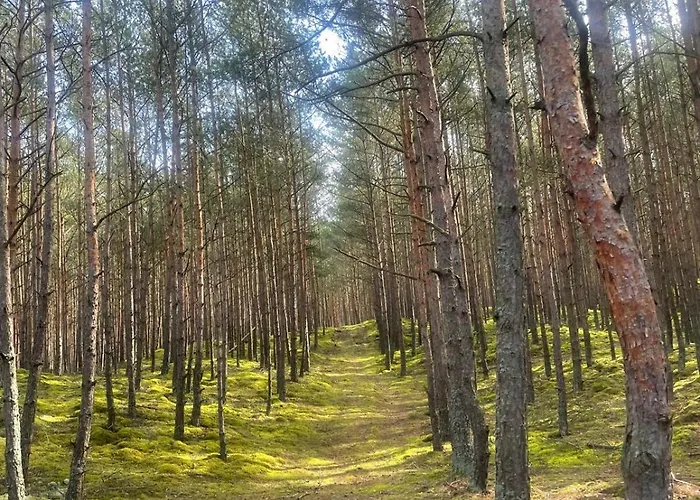 Lägenhet Dzika Foka Wioslowa 49 *