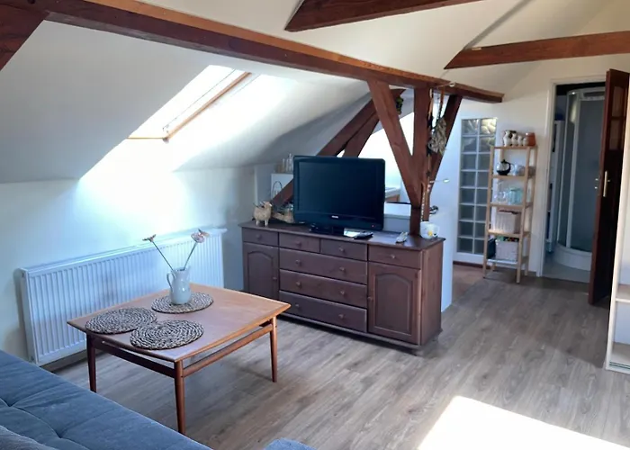 Dzika Foka Wioslowa 49 * Gdańsk