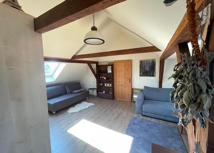 Dzika Foka Wioslowa 49 * Gdansk