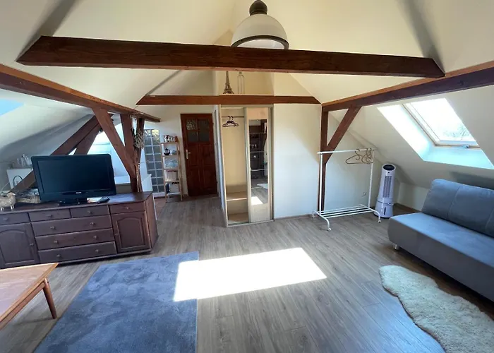 Dzika Foka Wioslowa 49